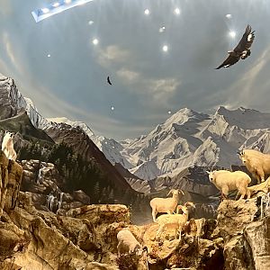 Bass Pro Shop Anchorage