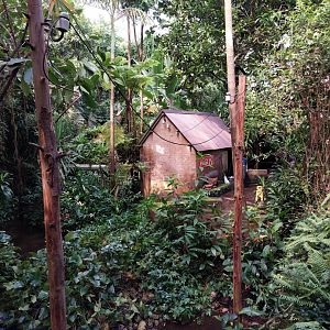 Leaf cutter ant exhibit on poles