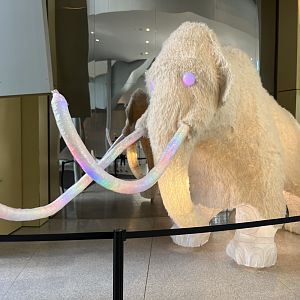 Lantern Woolly Mammoth