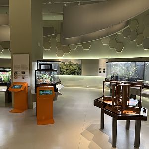 Bug Gallery - 40 exhibits