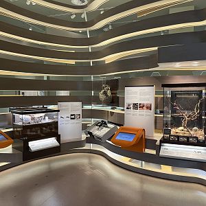 Bug Gallery - 40 exhibits