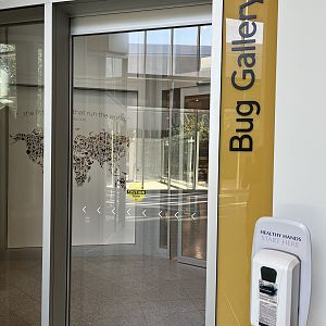 Bug Gallery - Entrance
