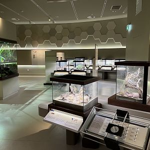 Bug Gallery - 40 exhibits