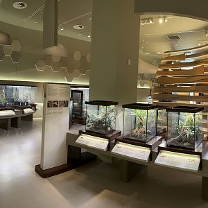 Bug Gallery - 40 exhibits