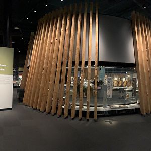 Human History Gallery