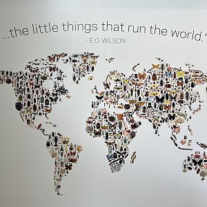 Bug Gallery - Colourful Entrance Sign