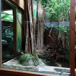 Enclosure for lace monitor (07/22)