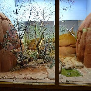 Terrarium for Australian lizards (07/22)
