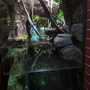 Enclosure for dwarf caiman, red piranha, red-tailed catfish etc (07/22)