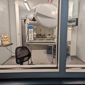 Current holding space for Red Panda Cub "Ravi"