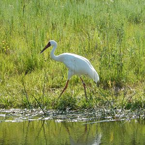 7/12/2022 - At the Water's Edge