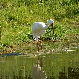 7/12/2022 - Gone Fishing