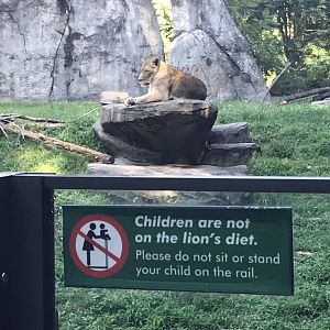 Warning Sign at Lions