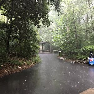 Heavy Rain and Thunder