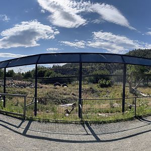 Grizzly Bear Exhibit