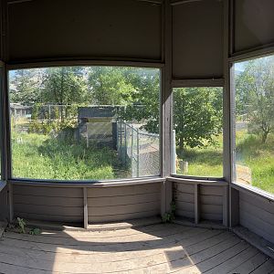 Red Fox Exhibit - viewing area