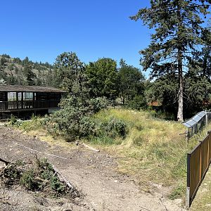 Coyote Exhibit - under renovation