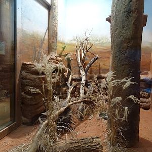 Enclosure for woma (07/22)