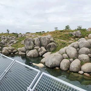 Polar bear enclosure