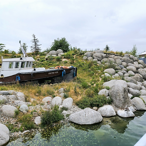 Humboldt penguin enclosure
