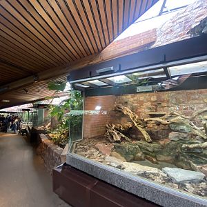 Reptile House 190622