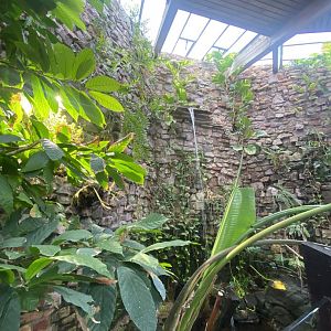 Reptile House 190622