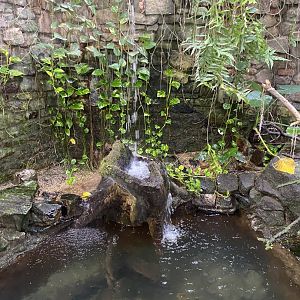 Reptile House 190622