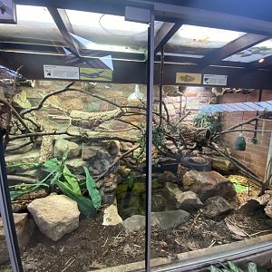 Reptile House exhibits 190622