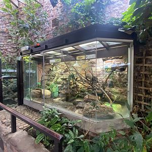 Reptile House exhibits 190622