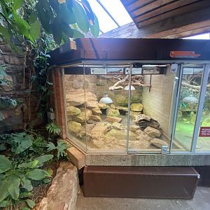Reptile House exhibits 190622