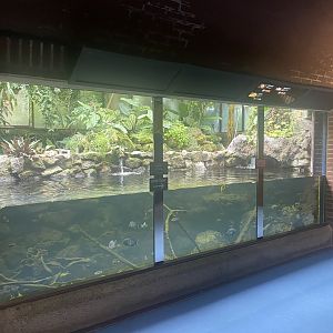 Reptile House - Aquarium exhibit 190622