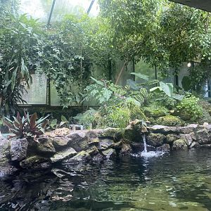 Reptile House - Aquarium exhibit 190622