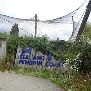 Seal and Penguin Coast 190622