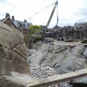 Seal and Penguin Coast 190622