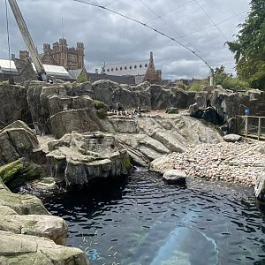 Seal and Penguin Coast 190622