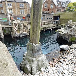 Seal and Penguin Coast 190622