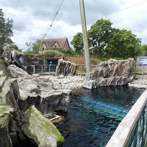 Seal and Penguin Coast 190622