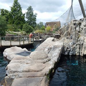 Seal and Penguin Coast 190622