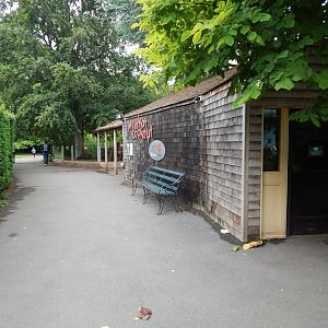 Meerkat Lookout 190622