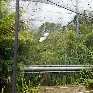 Former walkthrough aviary 190622