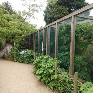 Aviaries 190622