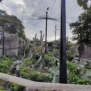 Eurasian eagle owl aviary