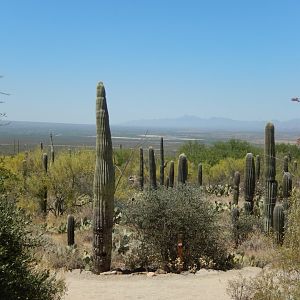 5/8/2022 - Initial View