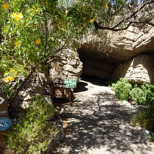 5/8/2022 - Entering the Earth Sciences Center & Cave