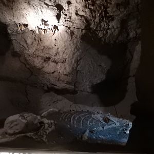 5/8/2022 - Bat Display Cave