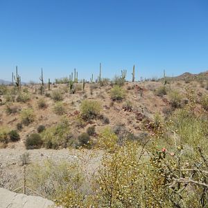 5/8/2022 - Old Riverbed