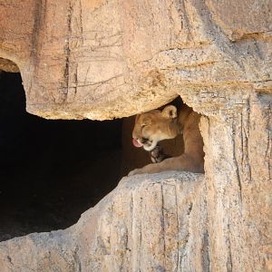 5/8/2022 - Beating the Heat