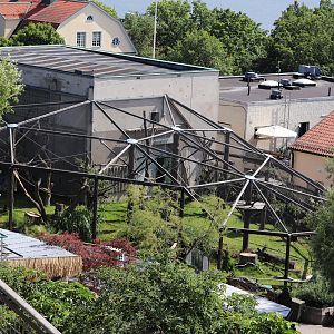 House and exhibit for the guerezas