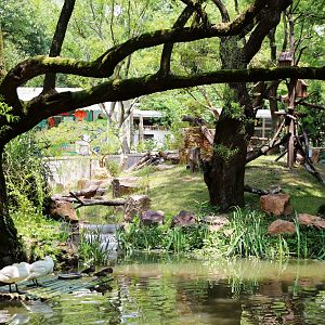 New Red Panda/ Demoiselle Crane Mixed Exhibit, General View from South