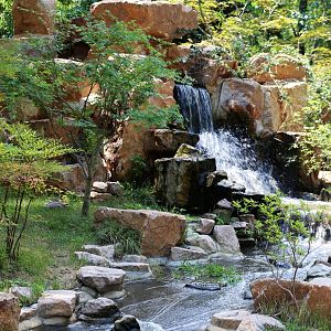 New Red Panda/ Demoiselle Crane Mixed Exhibit, West Island